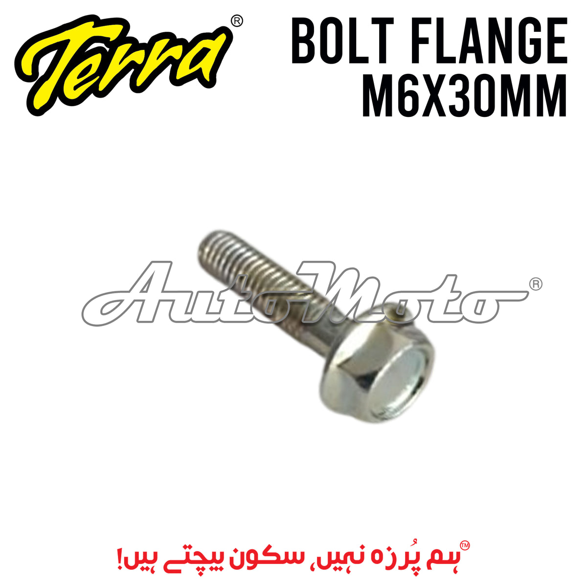 BOLT FLANGE 6X30