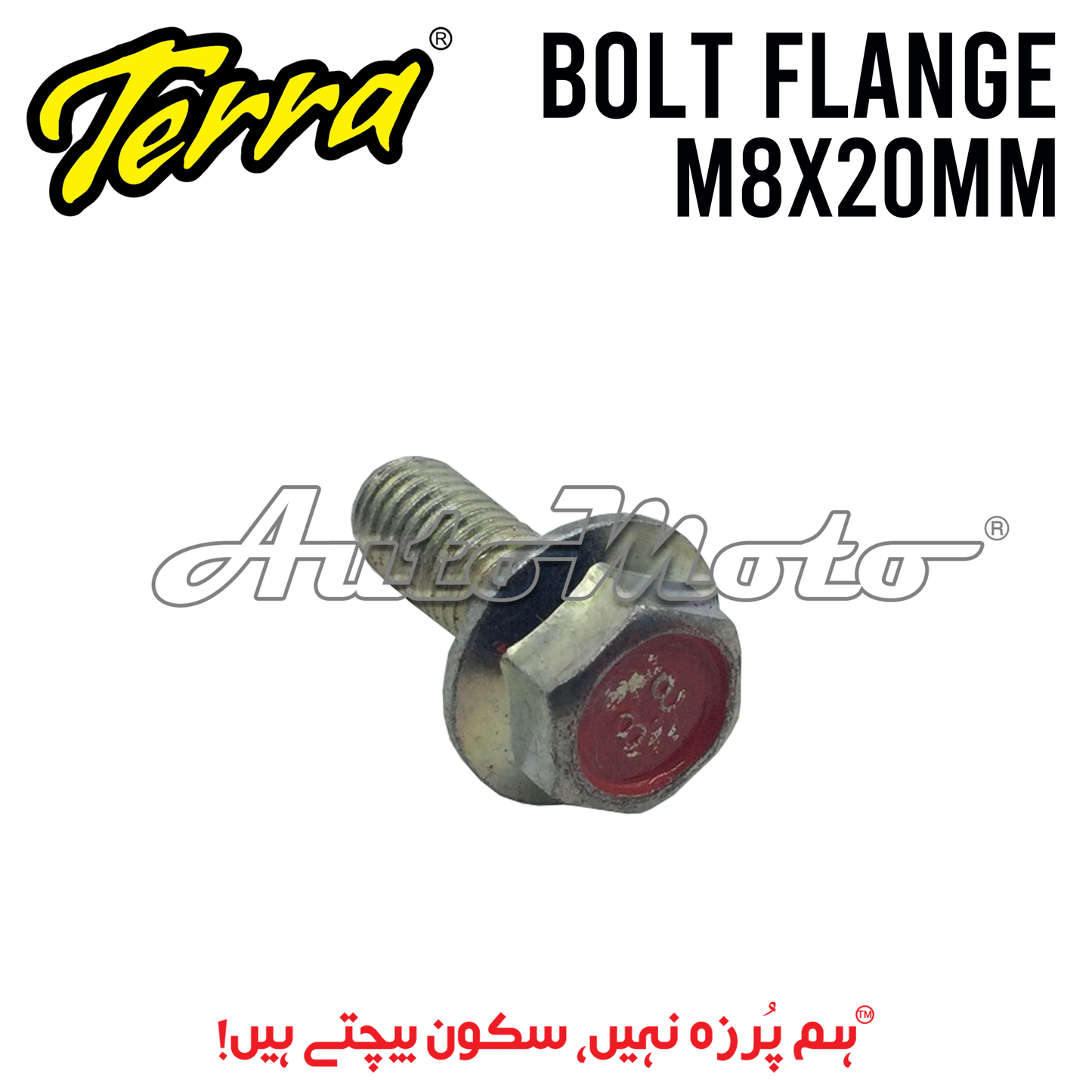 BOLT FLANGE 8X20