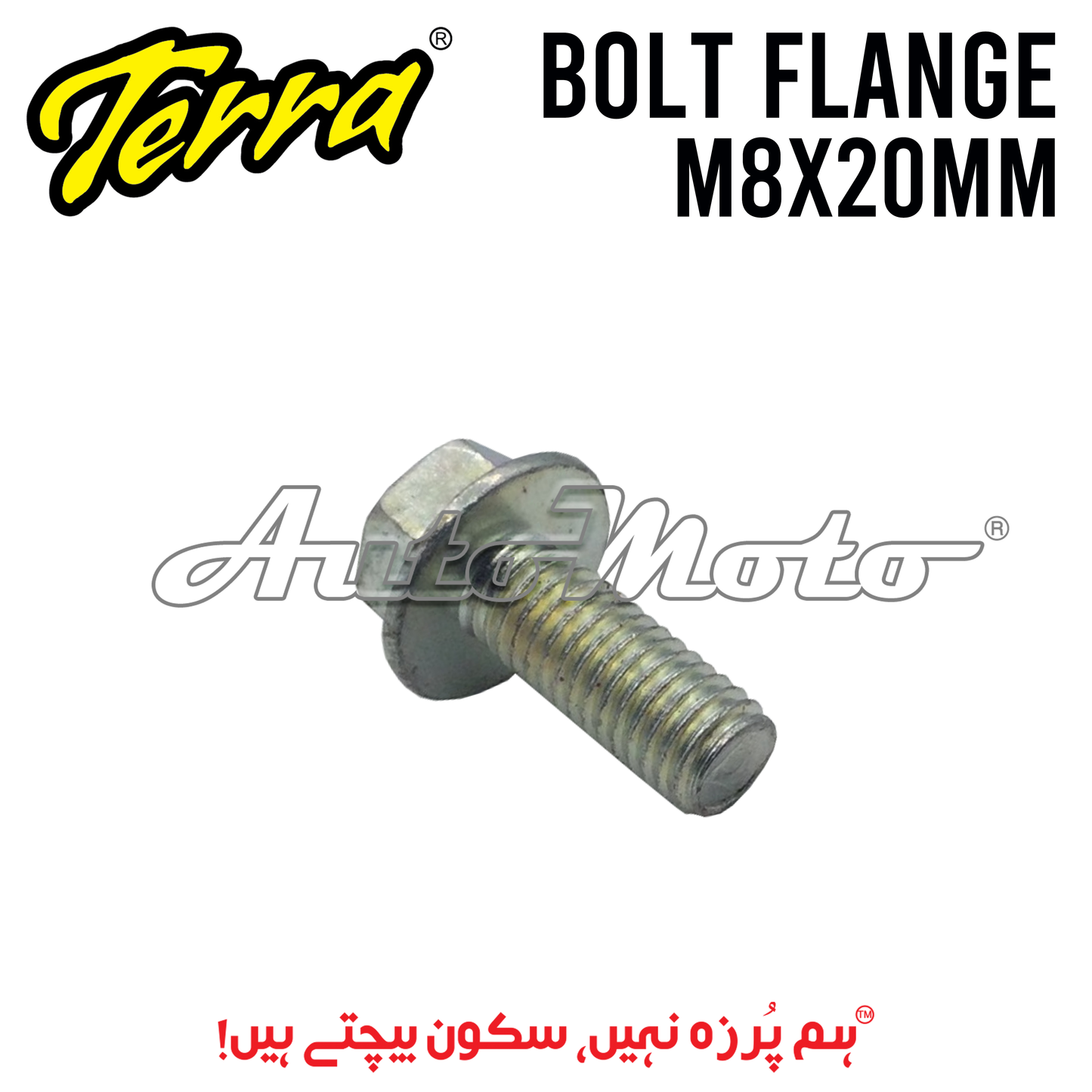 BOLT FLANGE 8X20