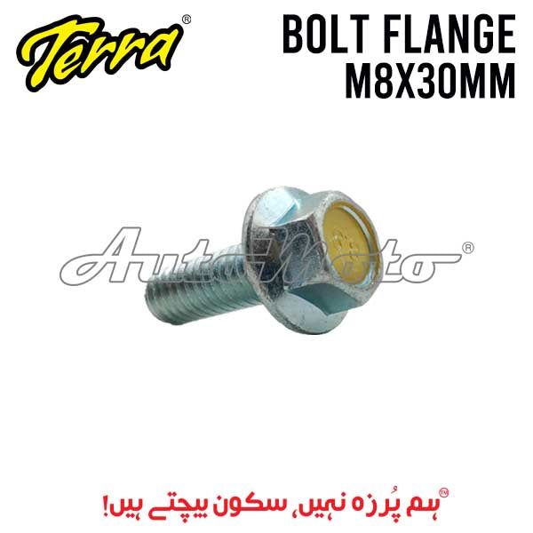BOLT FLANGE 8X30