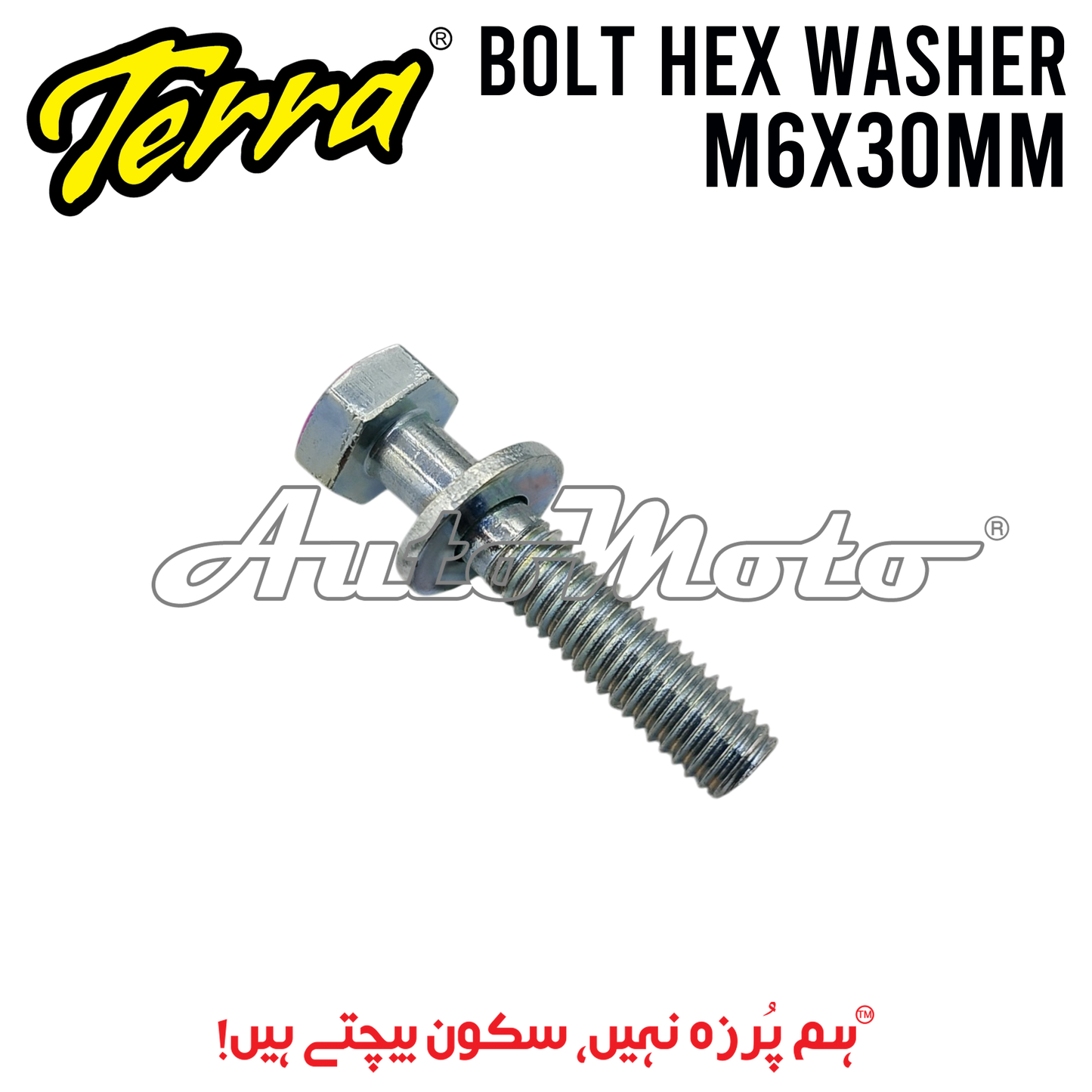 BOLT HEX WASHER 6X30
