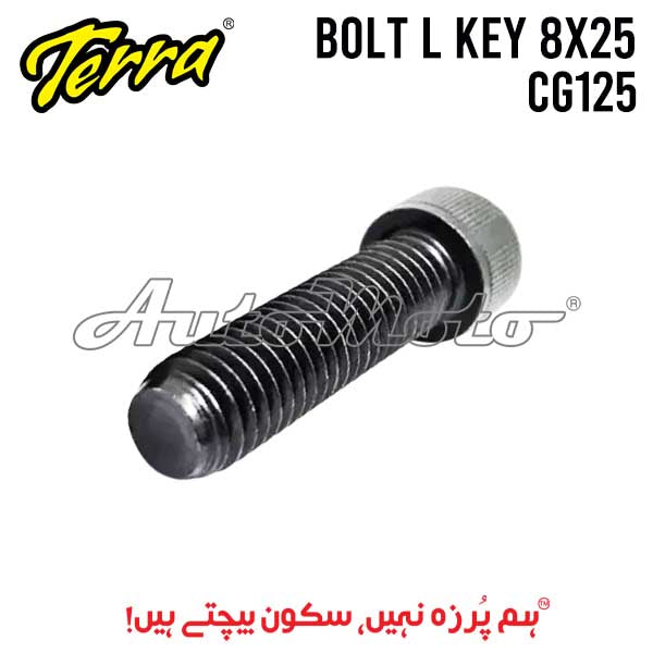 BOLT L-KEY 8X25