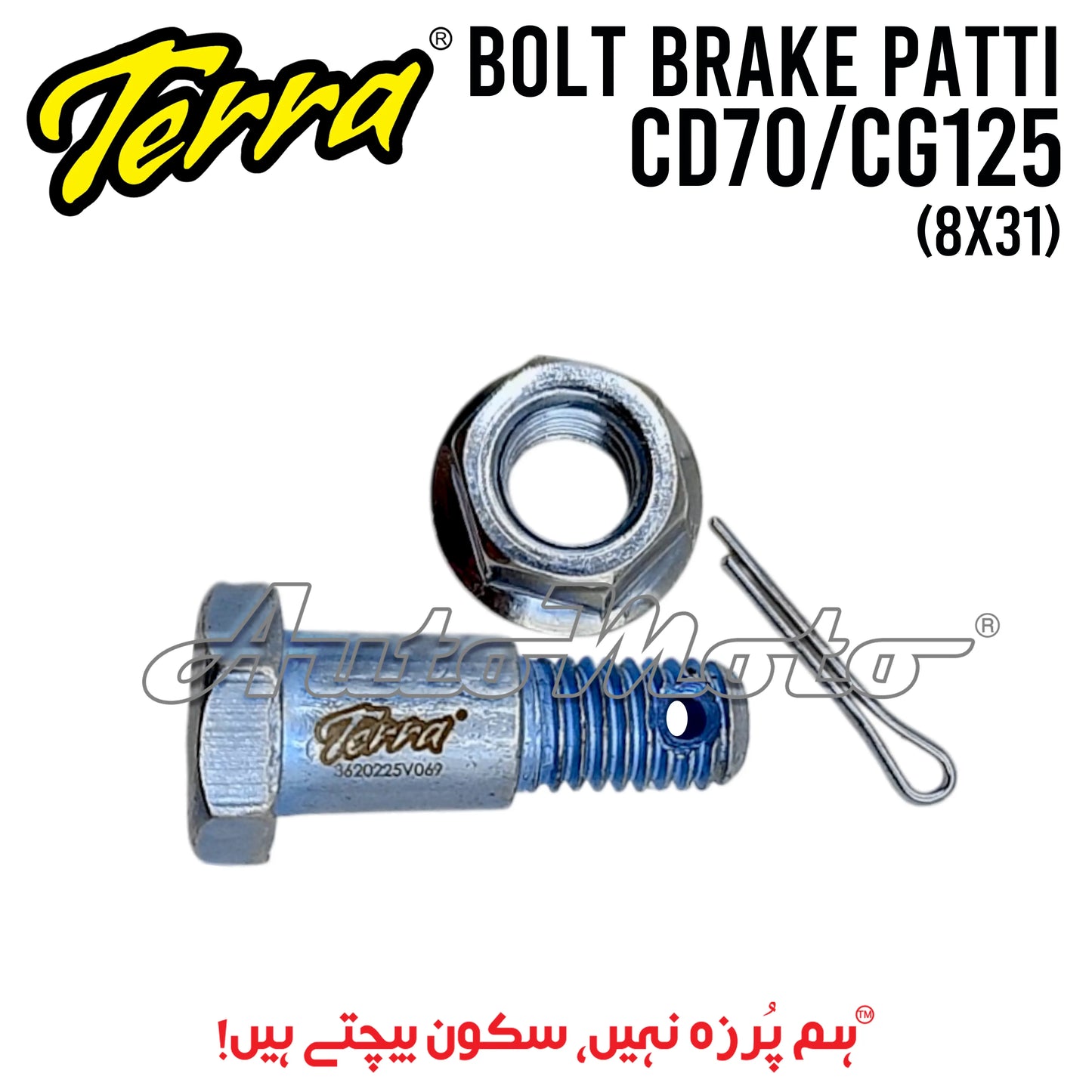 BOLT BRAKE PATTI CD70/CG125 8X31 Terra