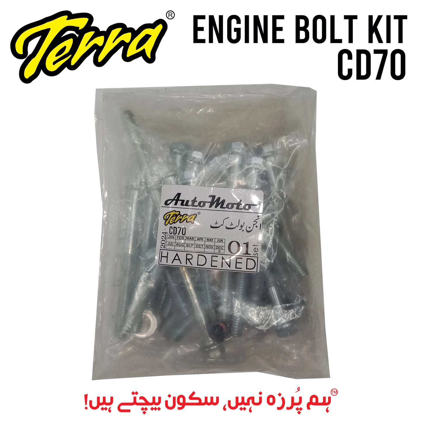 BOLT KIT ENGINE CD70 Terra