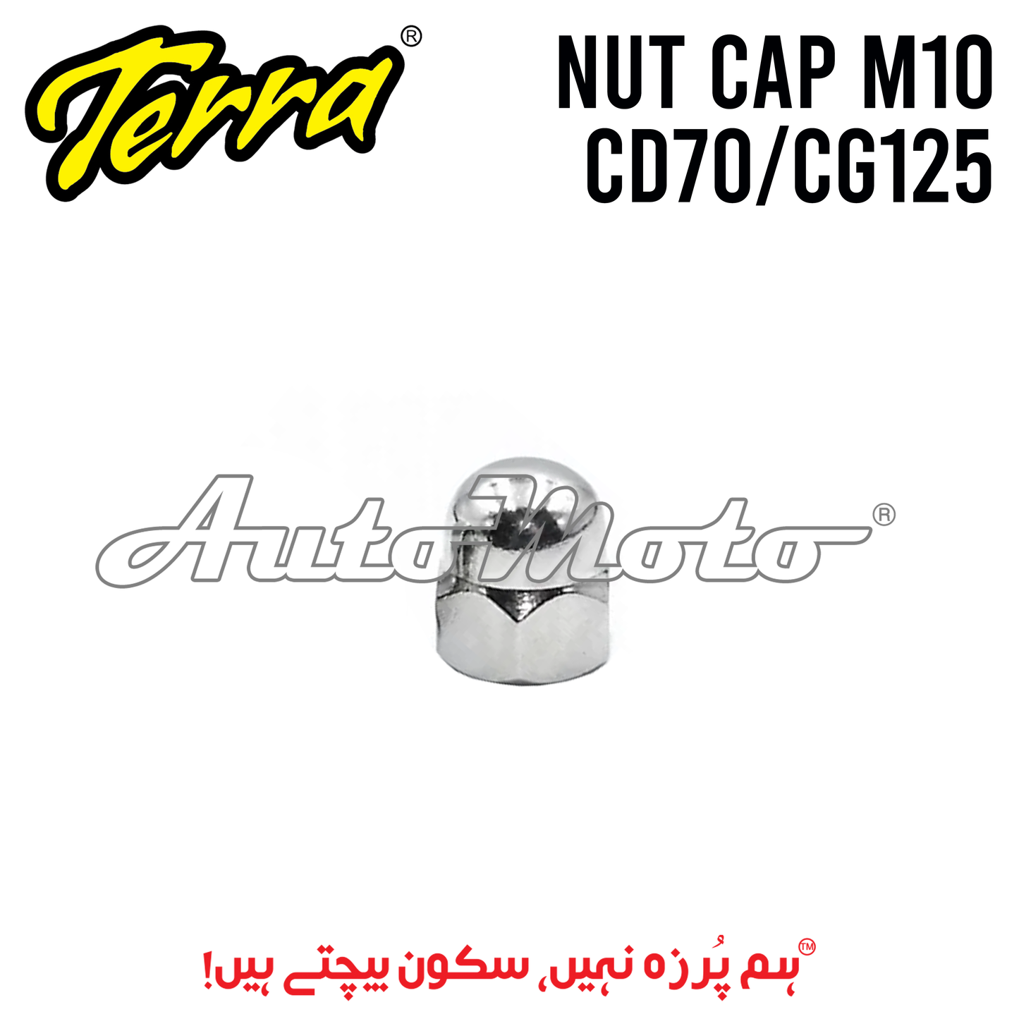 NUT CAP M10