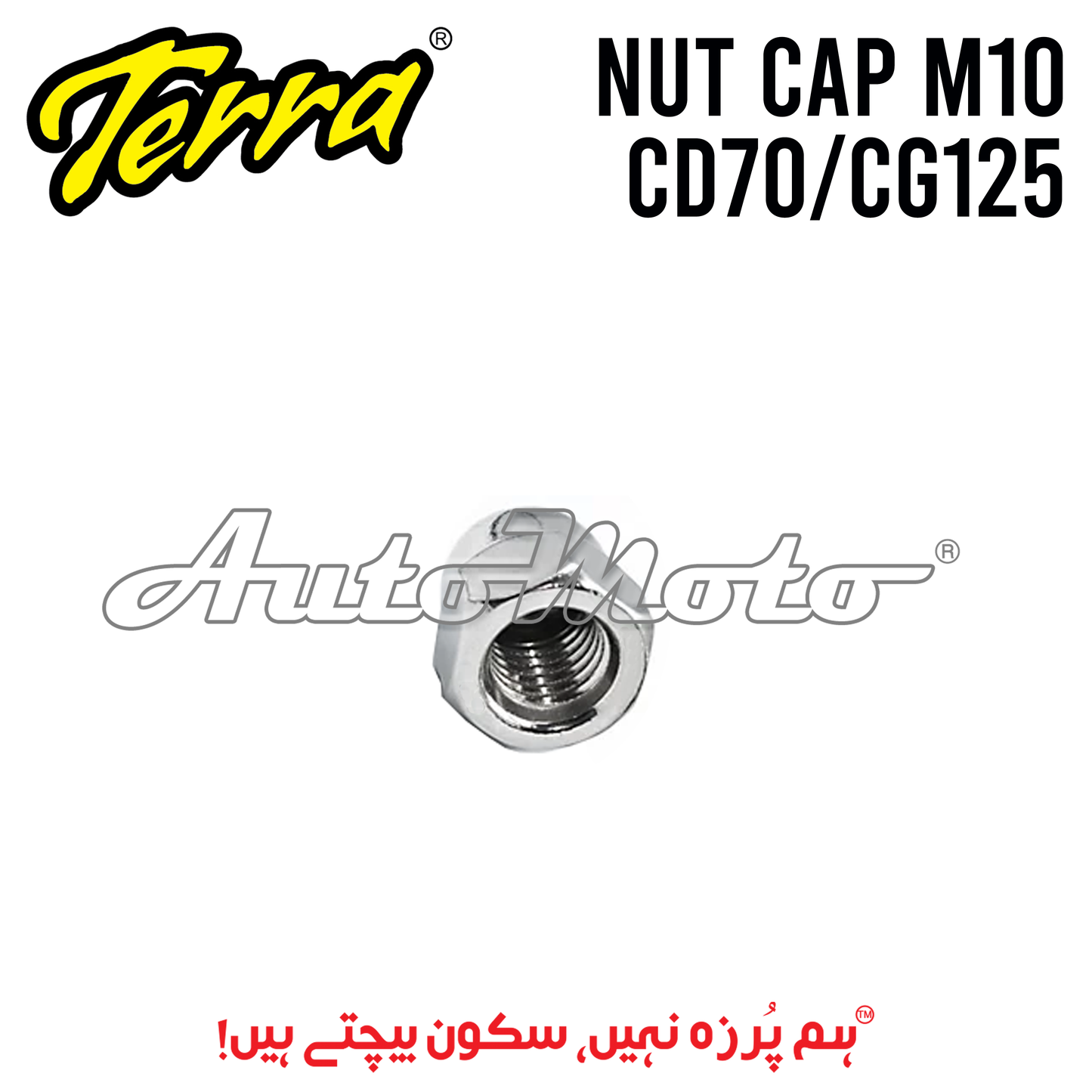 NUT CAP M10