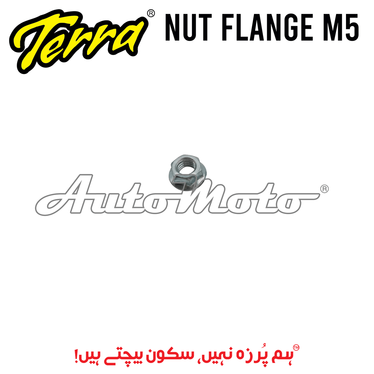NUT FLANGE M5