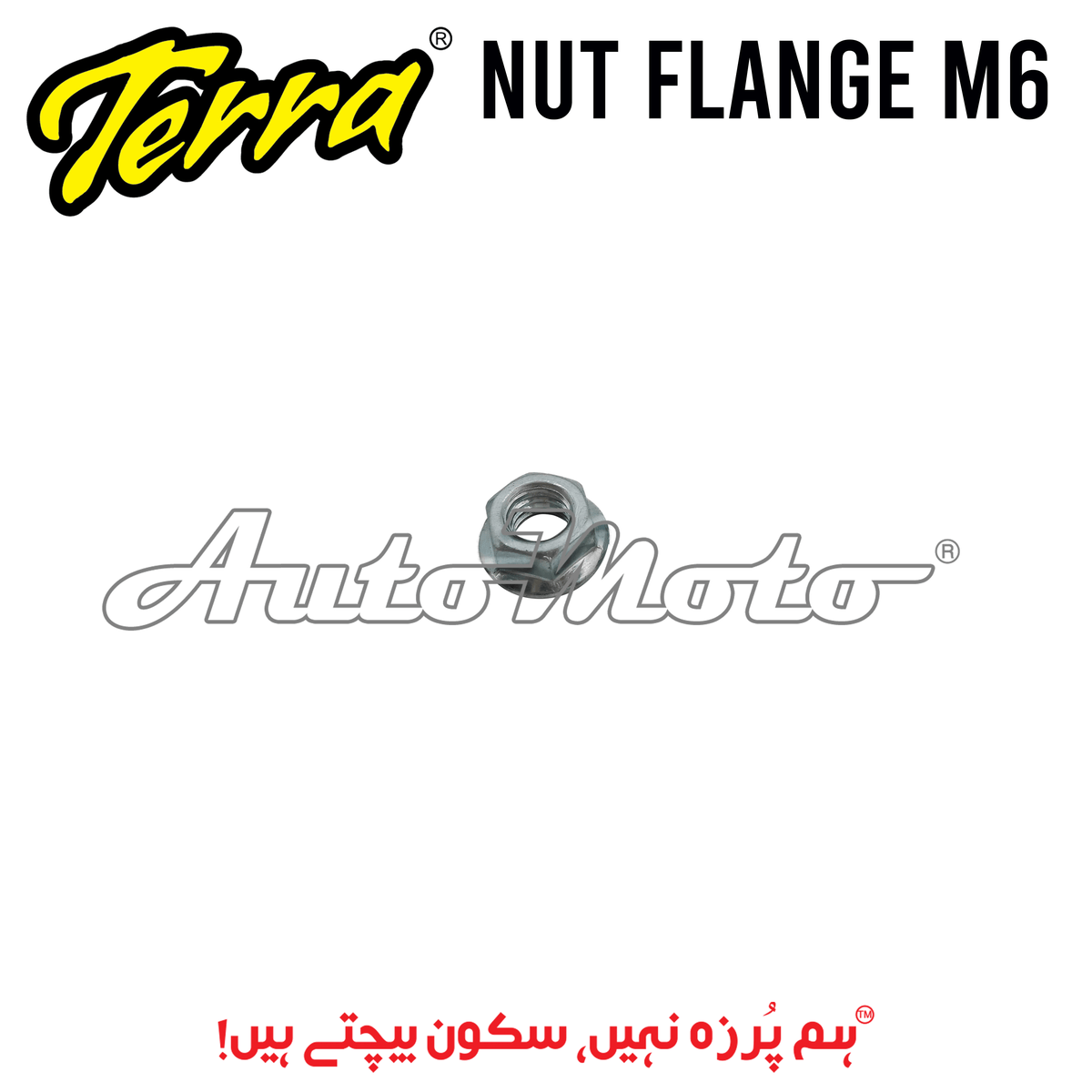 NUT FLANGE M6