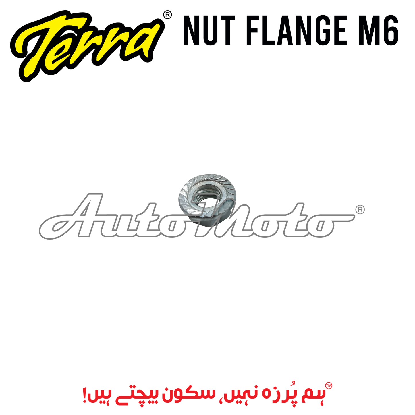 NUT FLANGE M6