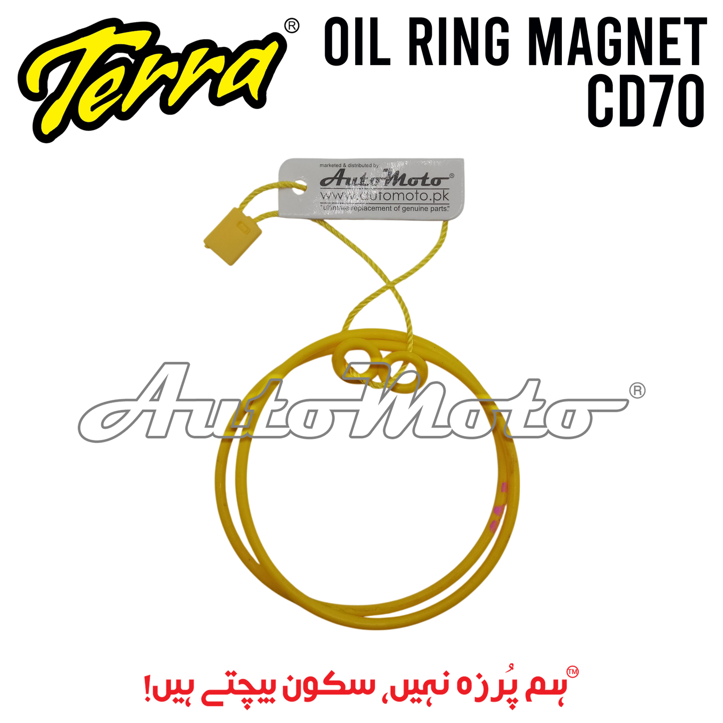 OIL RING MAGNET CD70 TERRA