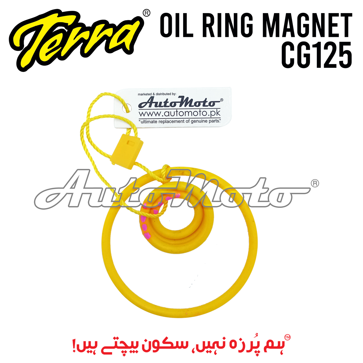 OIL RING MAGNET CG125 TERRA