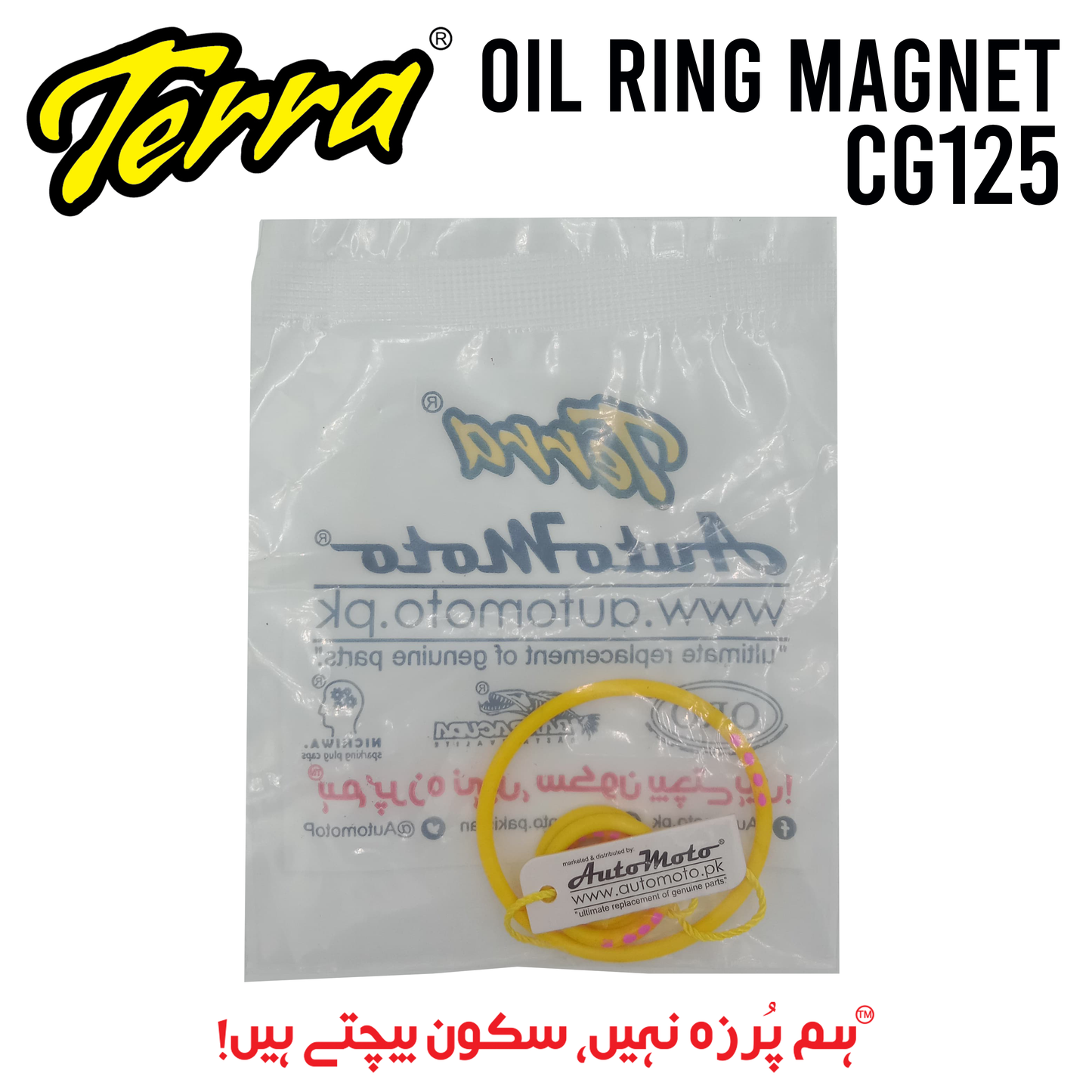 OIL RING MAGNET CG125 TERRA