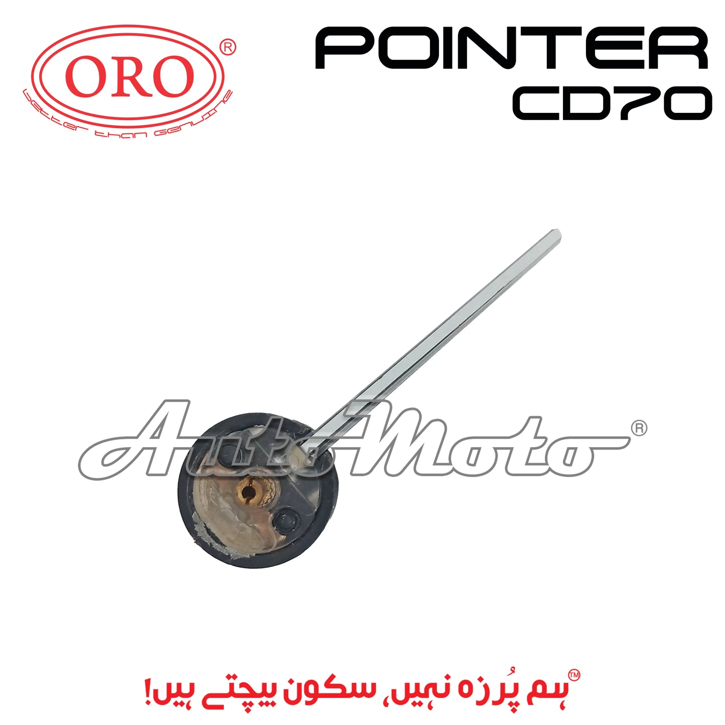 POINTER CD70 WHITE ORO