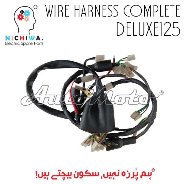 WIRING COMPLETE DELUXE125 NICHIWA