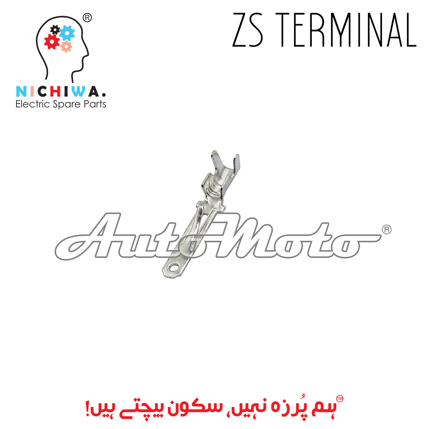 ZS TERMINAL