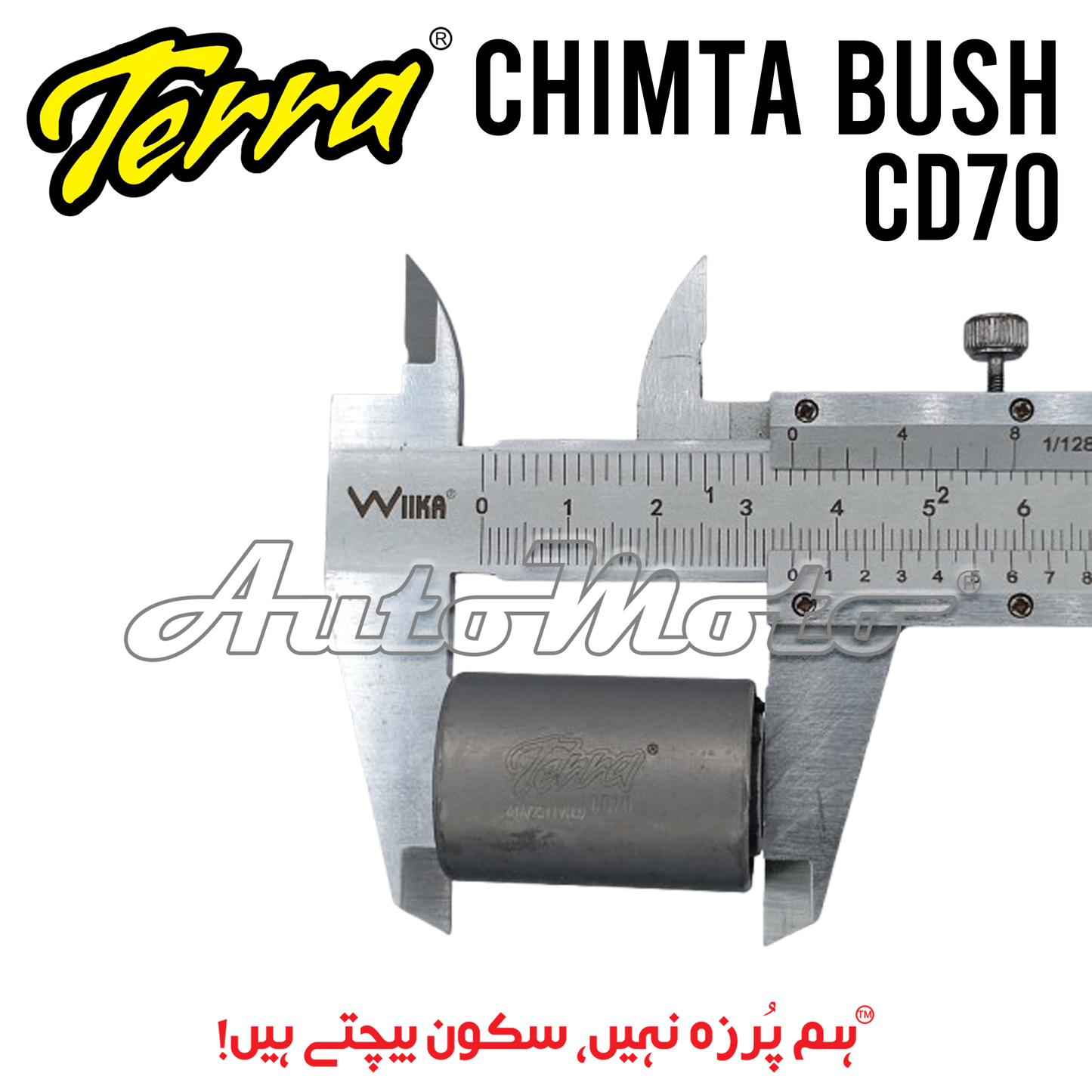 CHIMTA BUSH CD70