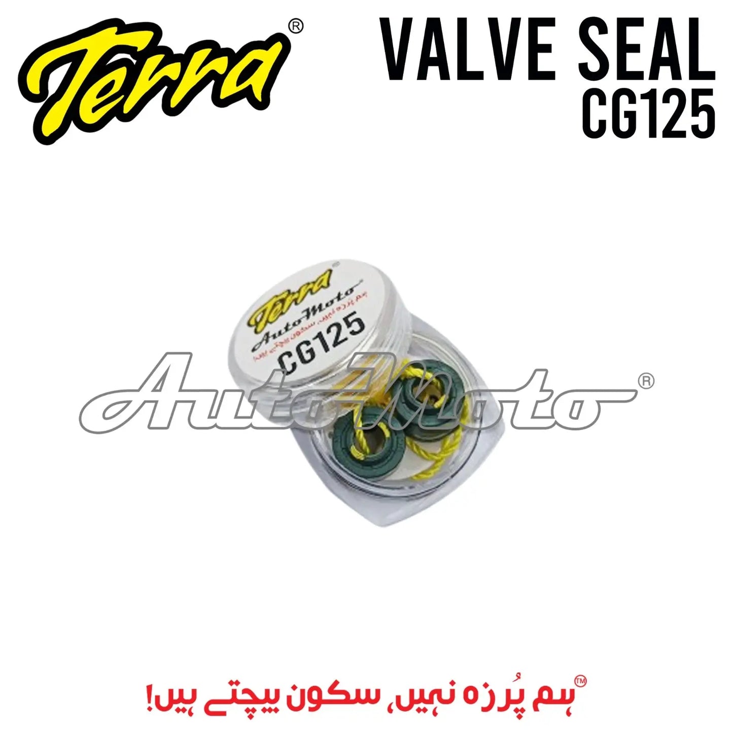 VALVE SEAL CG125 TERRA Terra
