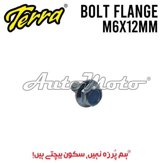 BOLT FLANGE 6x12