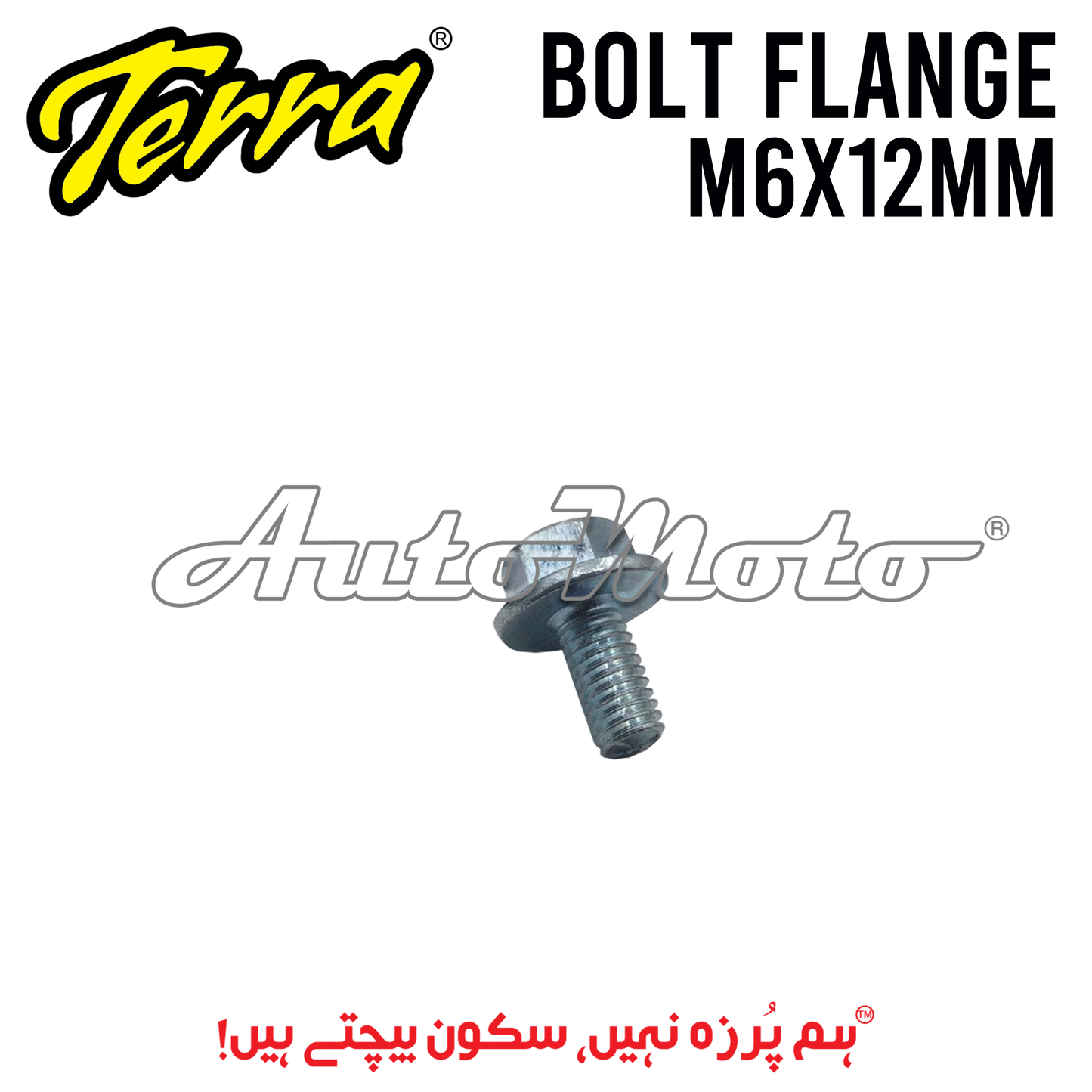 BOLT FLANGE 6x12