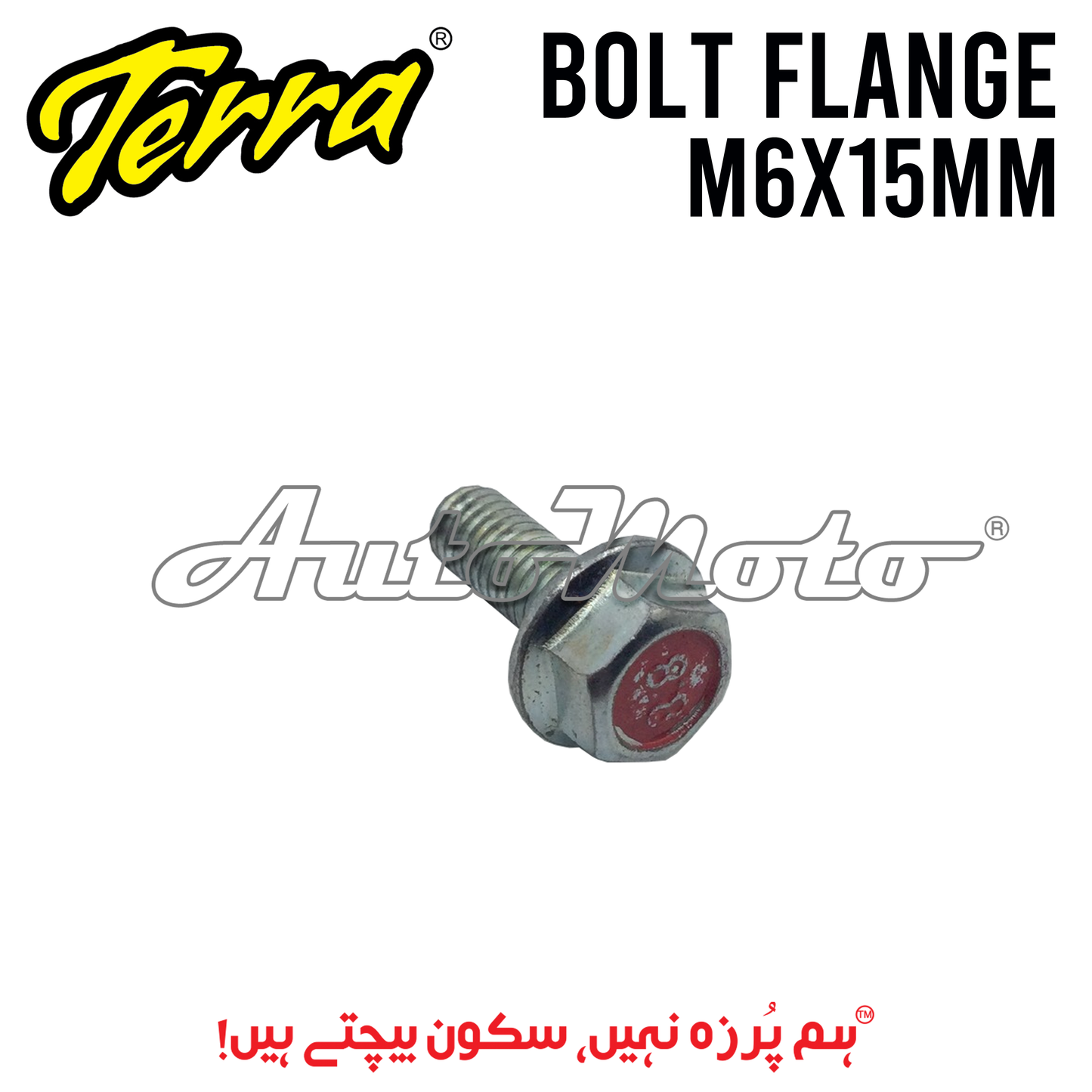 BOLT FLANGE 6X15