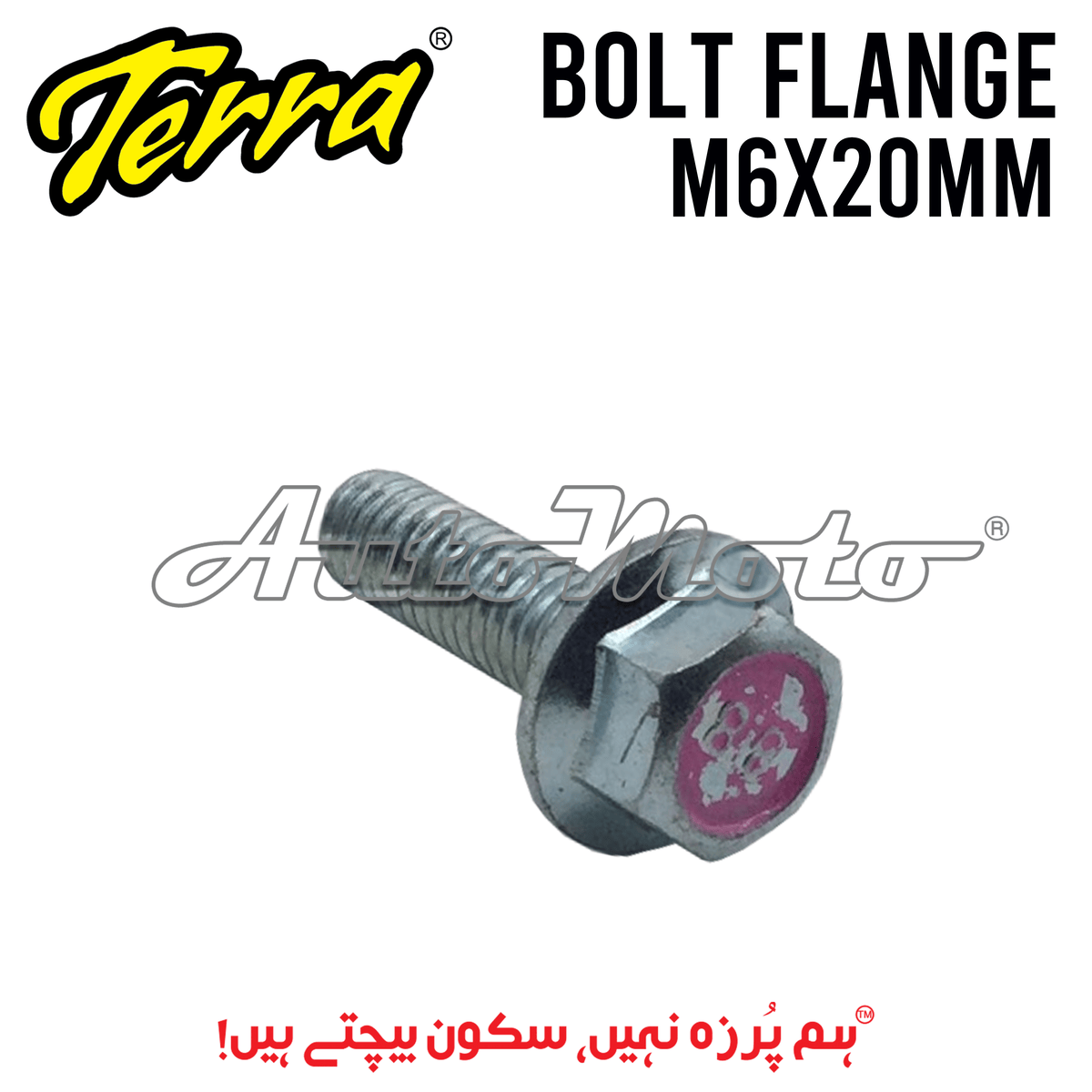 BOLT FLANGE 8X20