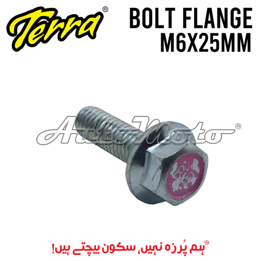 BOLT FLANGE 6X25