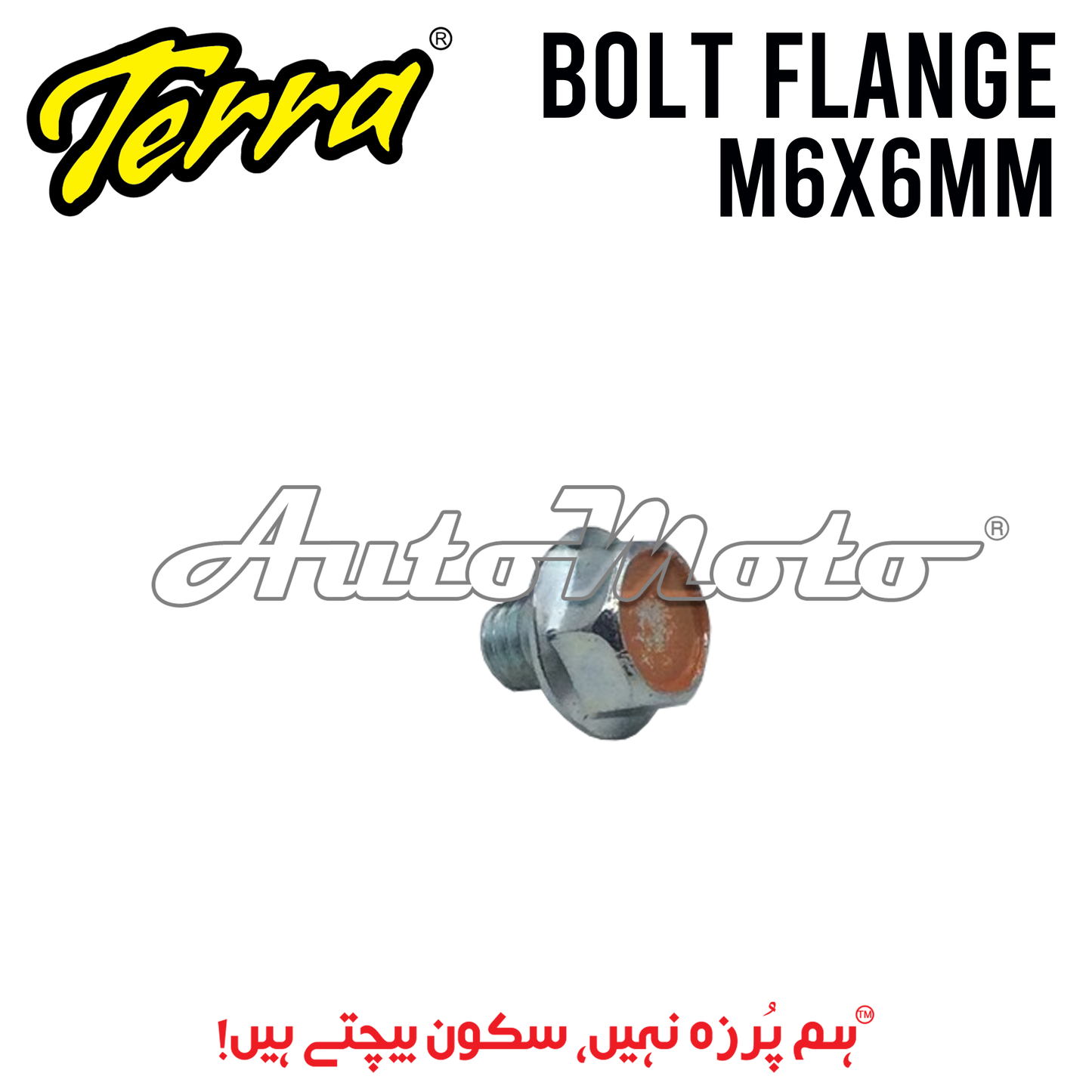 BOLT FLANGE 6X6