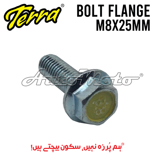 BOLT FLANGE 8X25