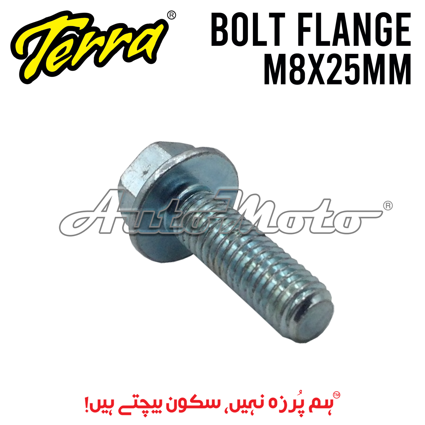 BOLT FLANGE 8X25