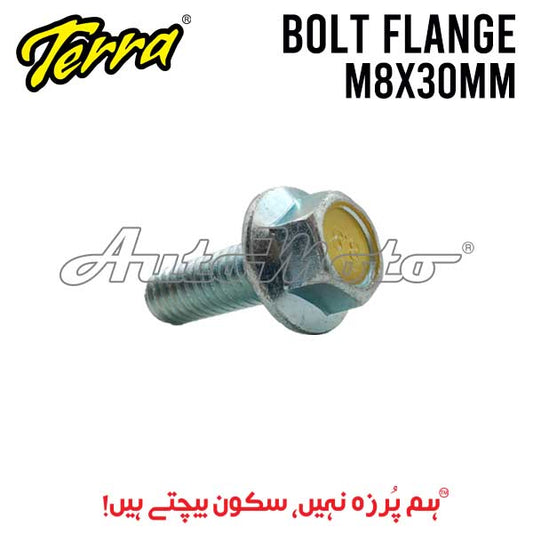 BOLT FLANGE 8X30
