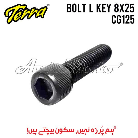 BOLT L-KEY 8X25