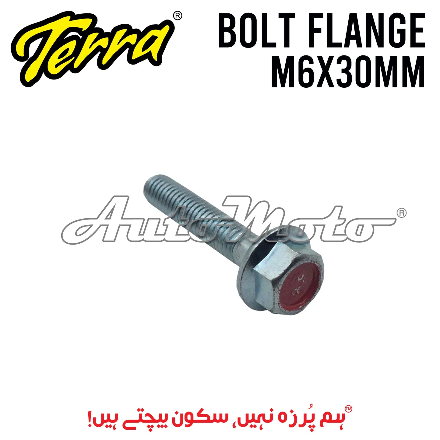 BOLT FLANGE 6X30 Terra