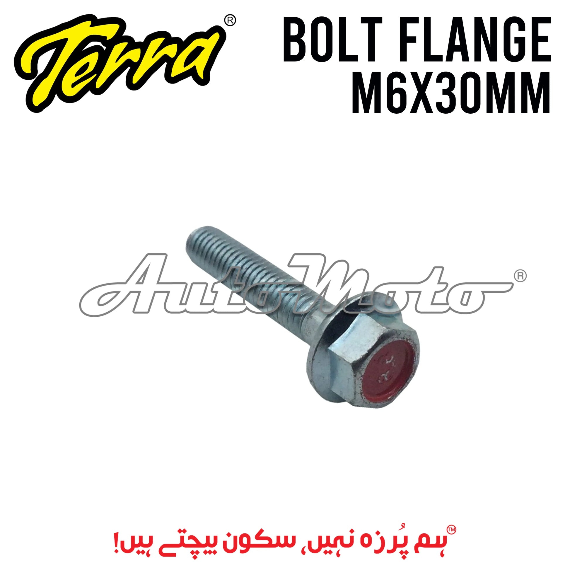 BOLT FLANGE 6X30 Terra