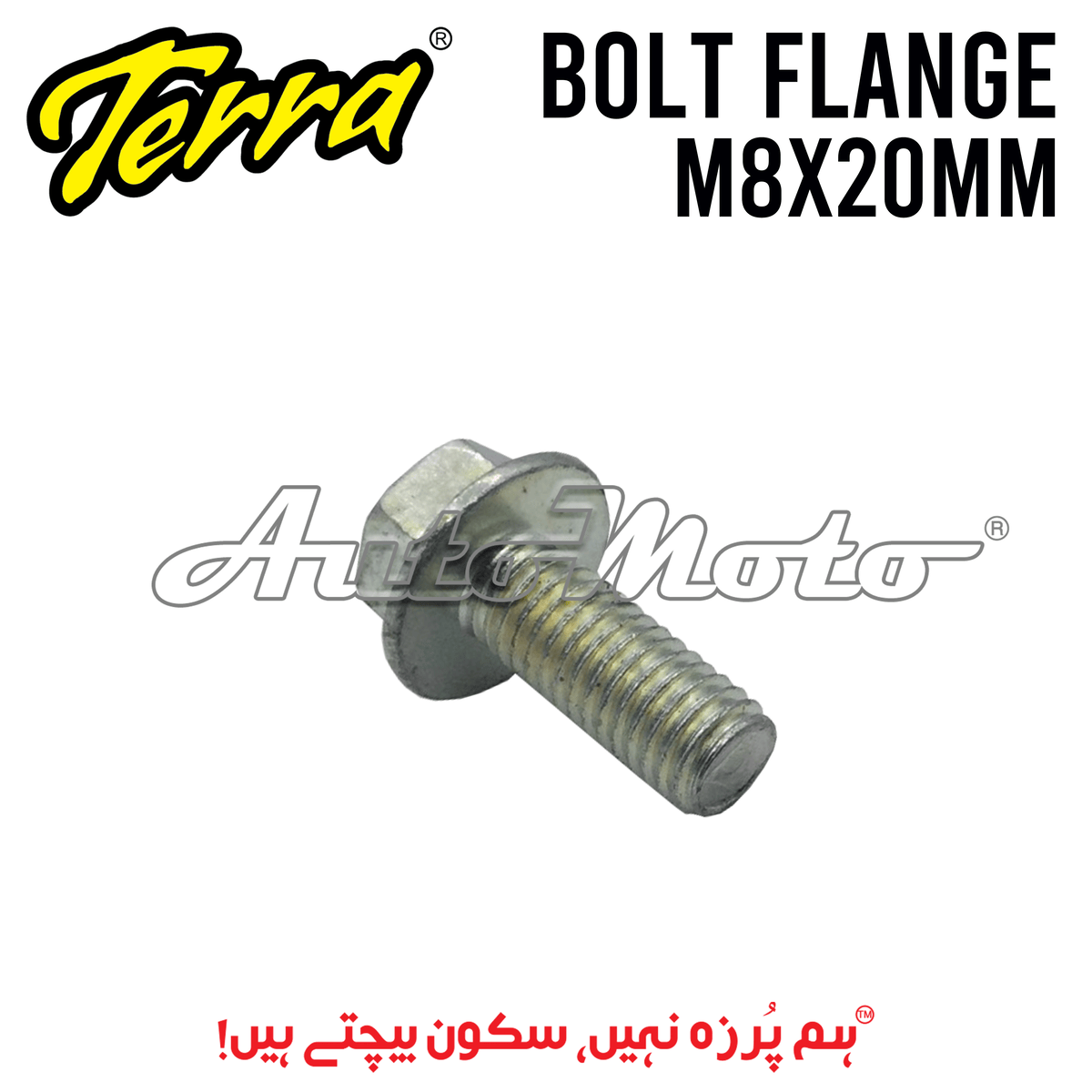 BOLT FLANGE 8X20