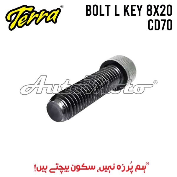 BOLT L-KEY 8X20