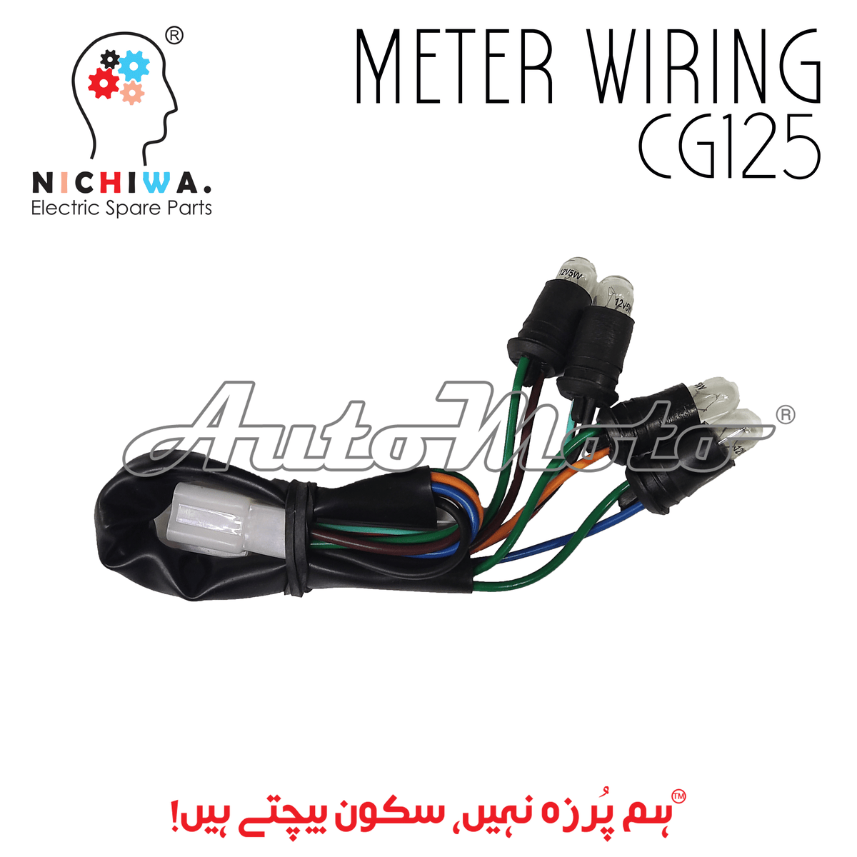 METER WIRING CG125