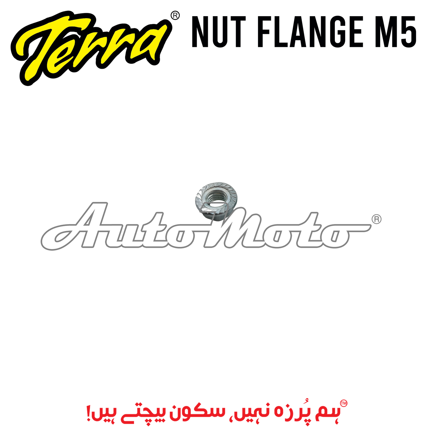 NUT FLANGE M5