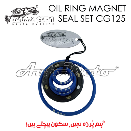 OIL RING MAGNET SEAL SET CG125