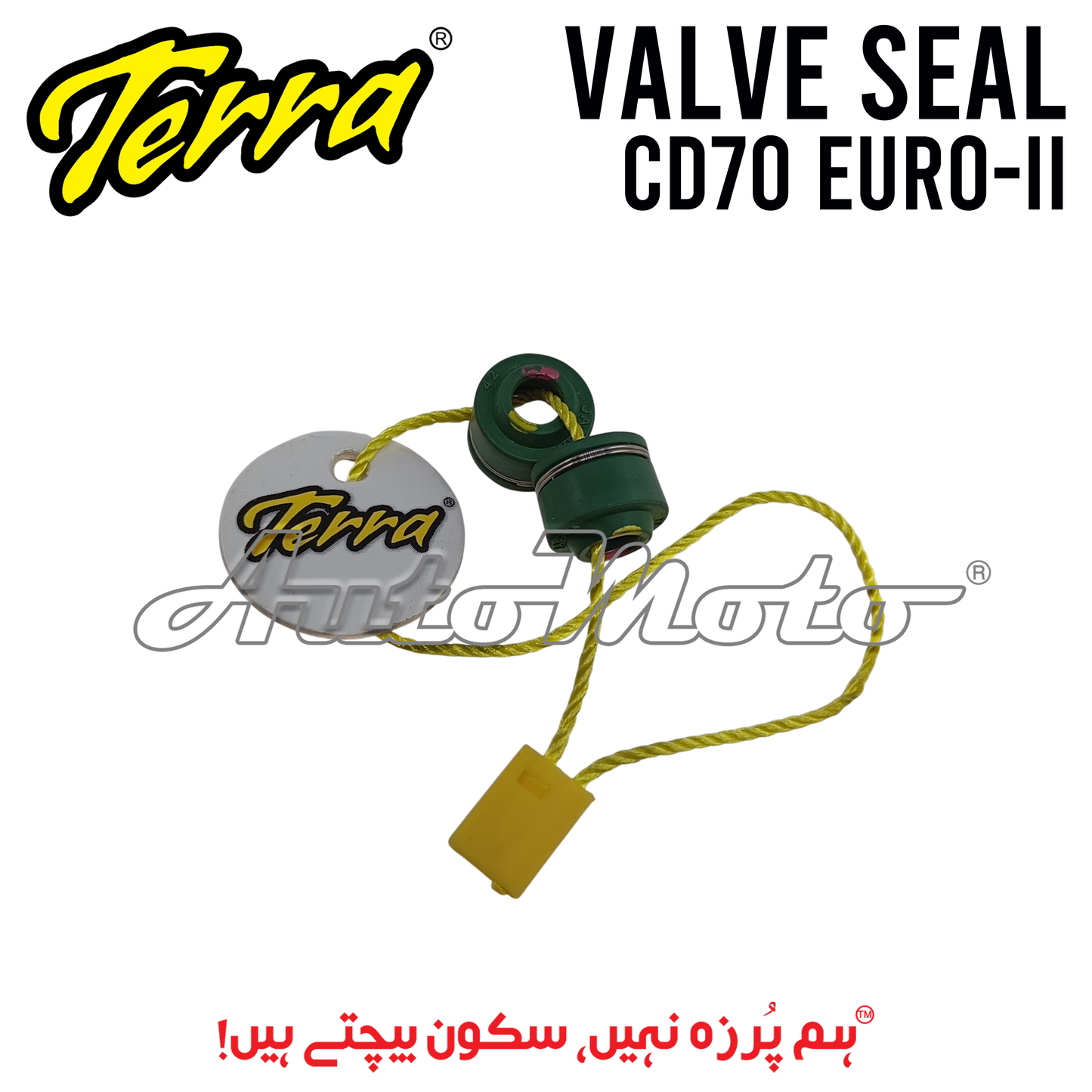 VALVE SEAL CD70 EURO-II/PRIDOR TERRA