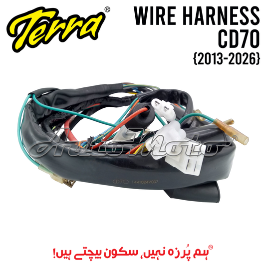 WIRING COMPLETE CD70 (2013-2026) TERRA